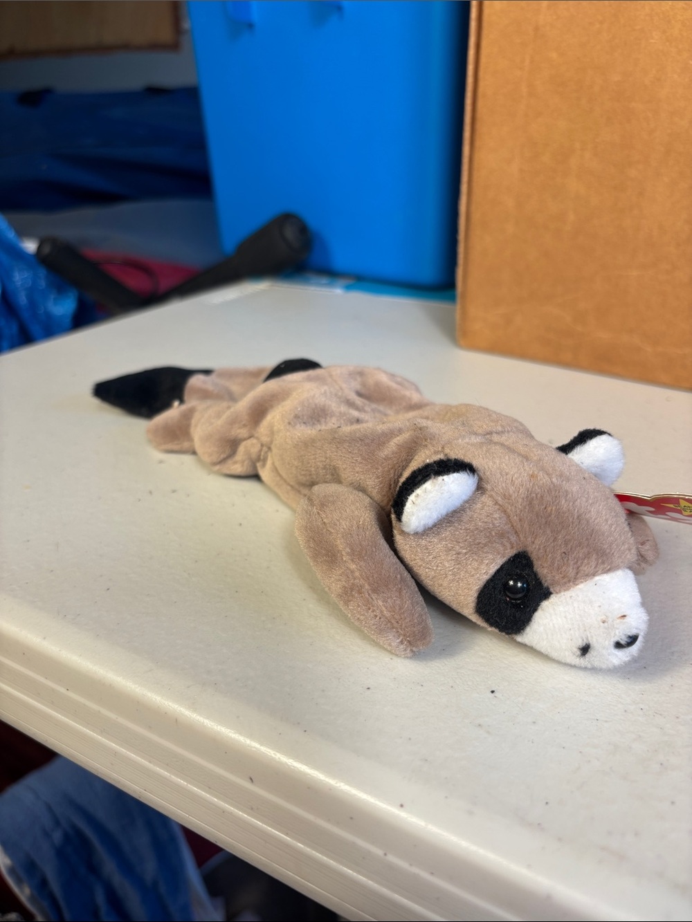 NWT- Vintage Ty Beanie Baby Ringo the Raccoon 1995 Retired Plush MWMT